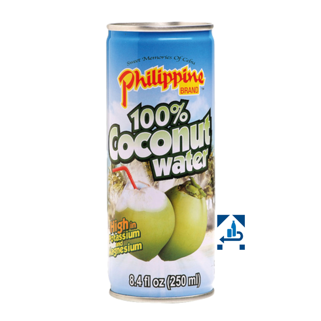 Philippine Brand Kokoswasser 250ml